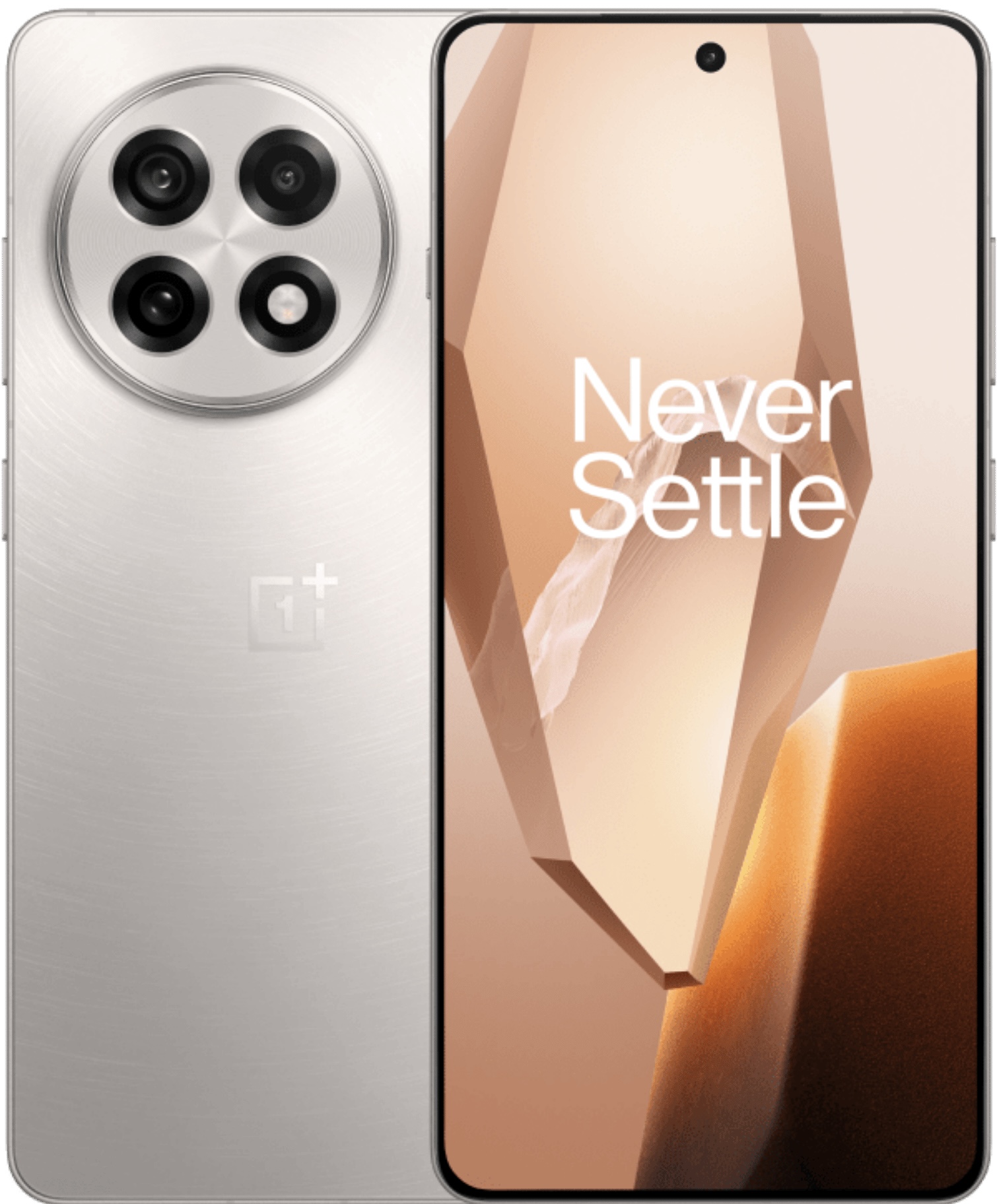 OnePlus 13 5G